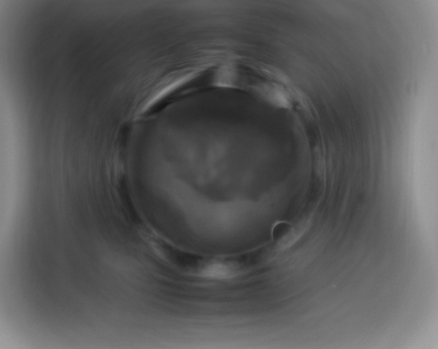 X0000113750471200910071109