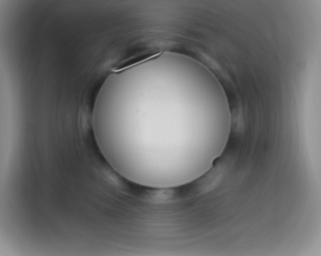 X0000113750474200910071110