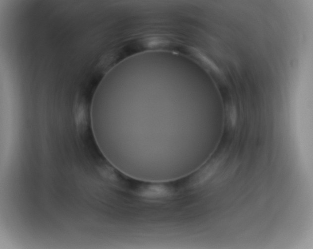 X0000113750475200910071110