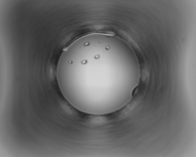 X0000113750476200910071110