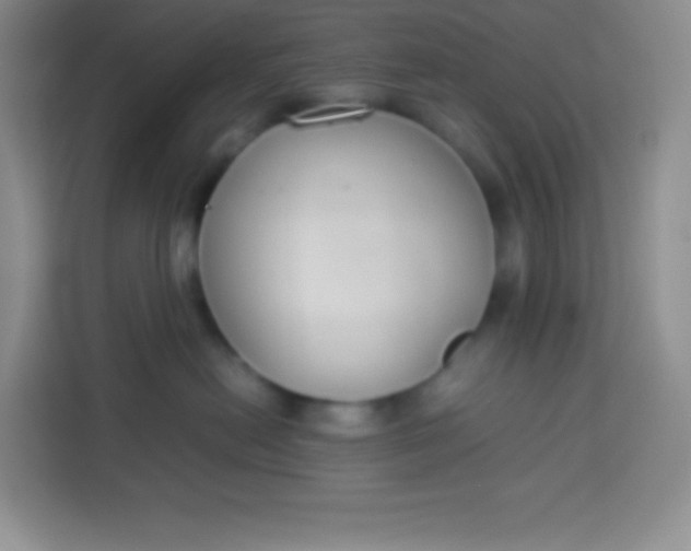 X0000113750478200910071110