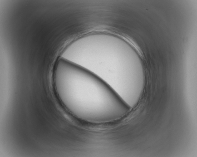 X0000113750485200910071109