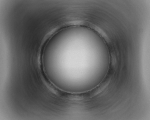 X0000113750486200910071109