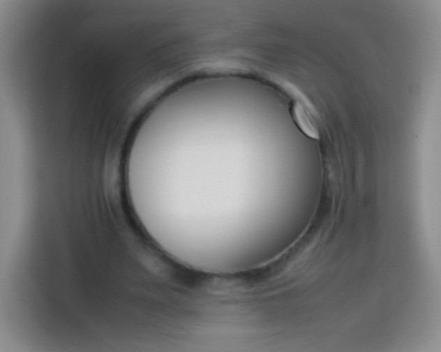 X0000113750487200910071109