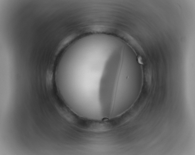 X0000113750488200910071109