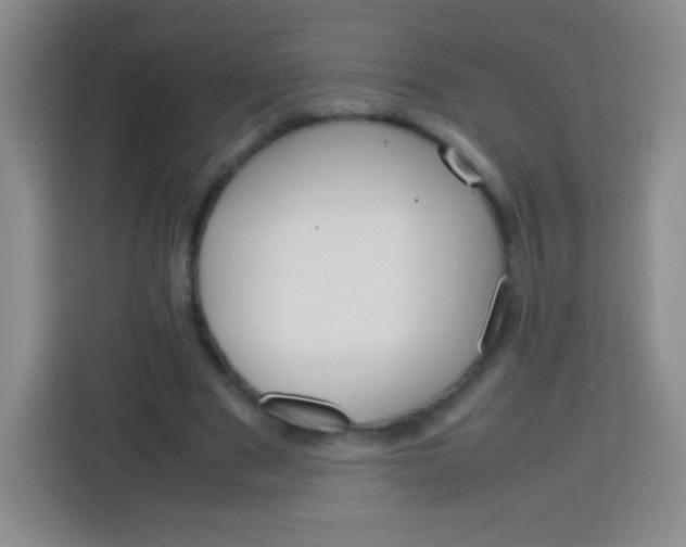 X0000113750489200910071109