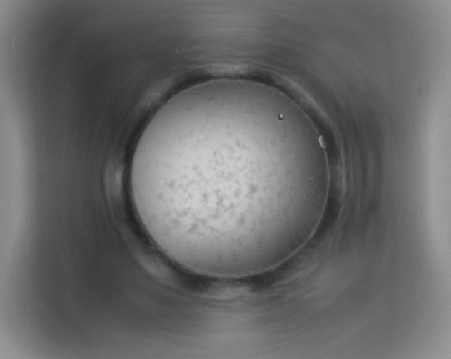 X0000113750491200910071109