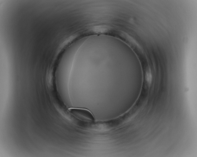 X0000113750492200910071109