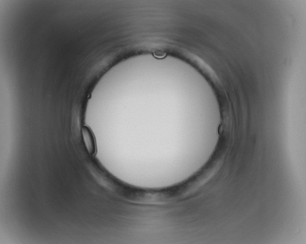 X0000113750493200910071109