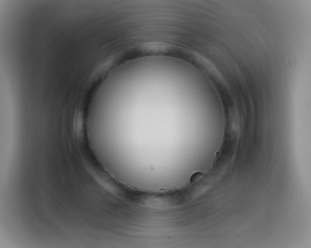 X0000113750494200910071109