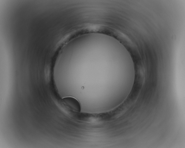 X0000113750496200910071109