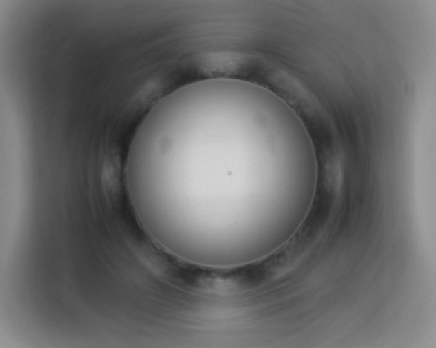 X0000113750498200910071109