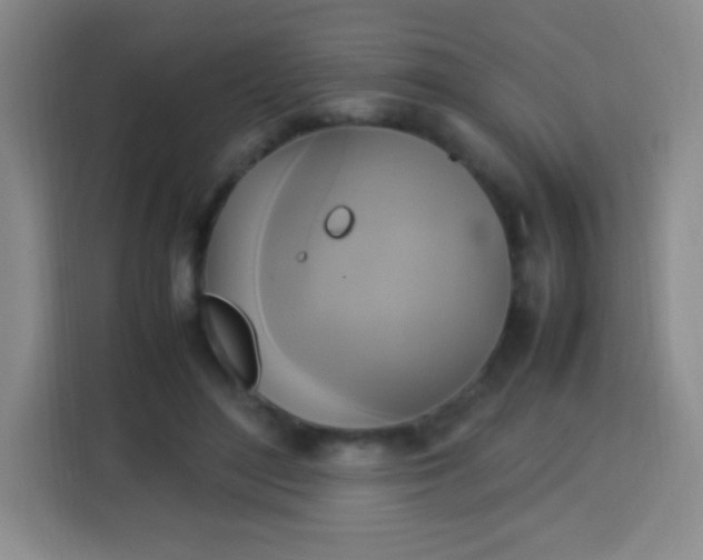 X0000113750500200910071109