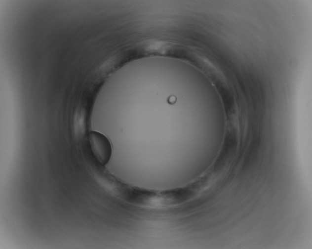 X0000113750504200910071109