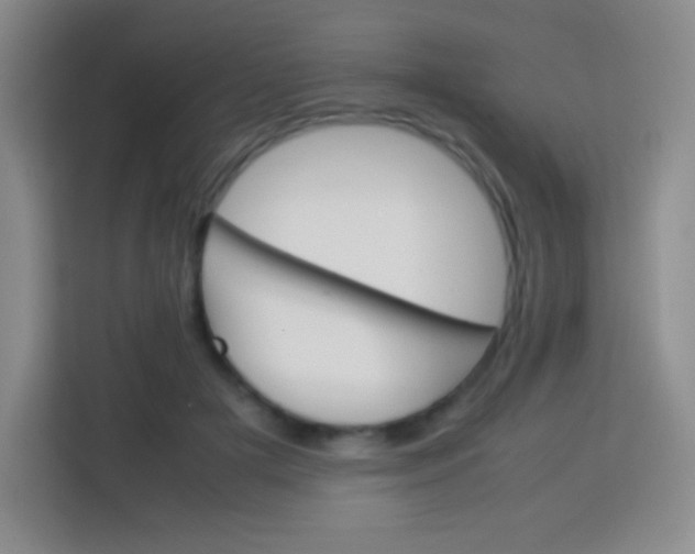 X0000113750505200910071109