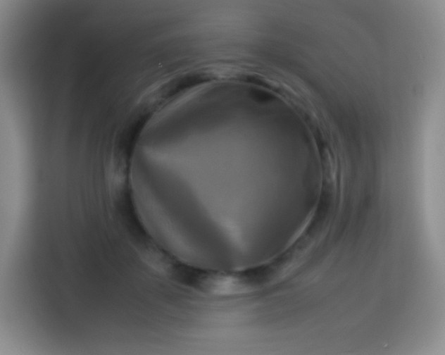 X0000113750507200910071109