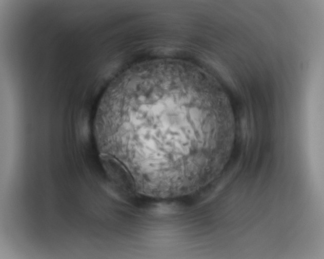 X0000113750508200910071109