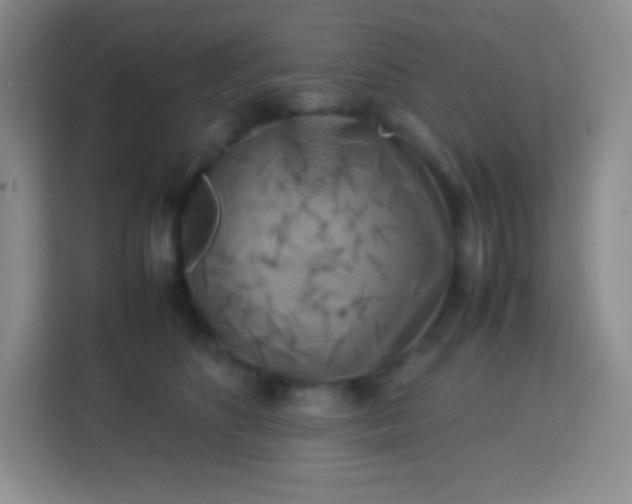 X0000113750516200910071109