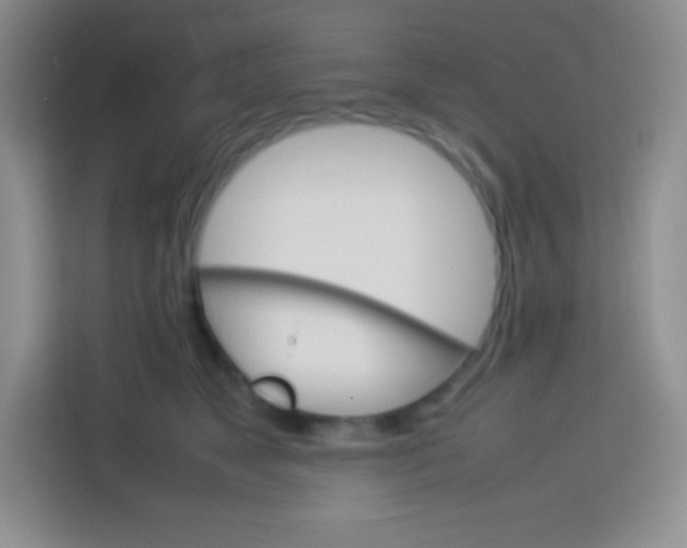 X0000113750517200910071109