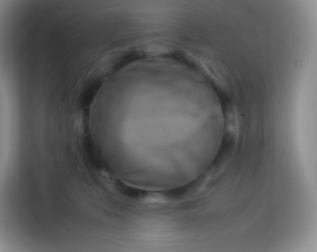 X0000113750519200910071108