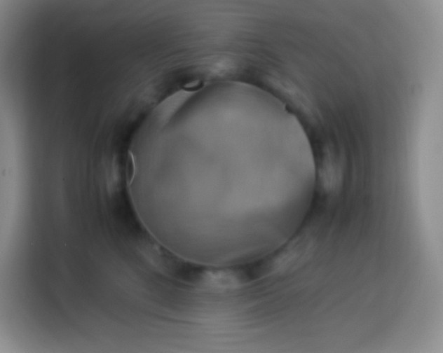 X0000113750520200910071108