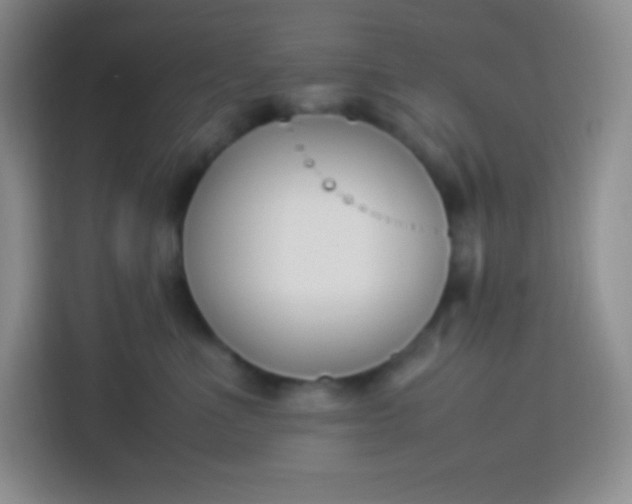 X0000113750523200910071108