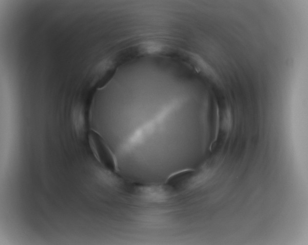 X0000113750524200910071108