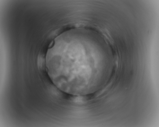 X0000113750527200910071108