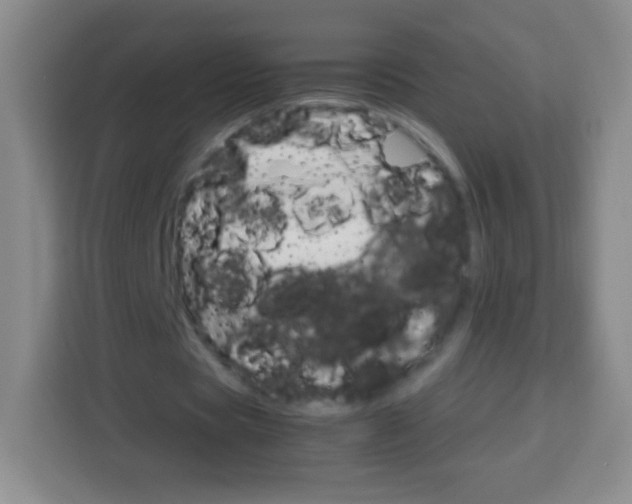 X0000113750529200910071108