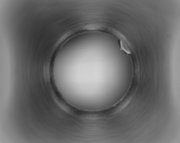 X0000113750530200910071108