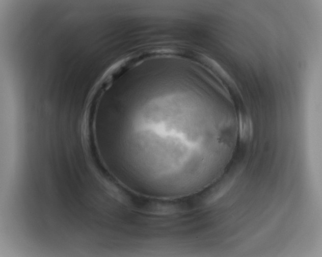 X0000113750531200910071108