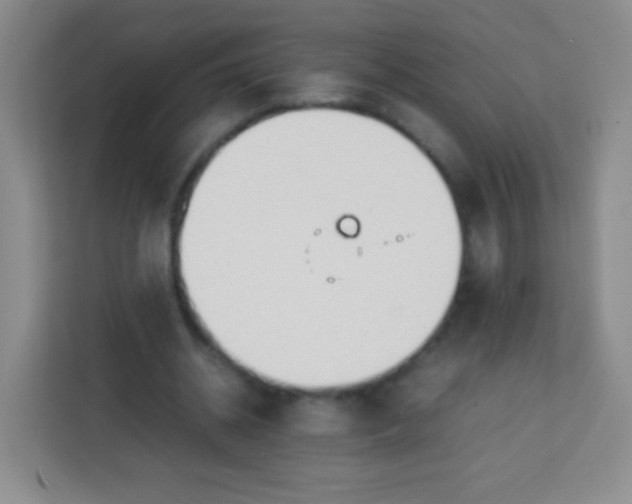 X0000113750534200910071108