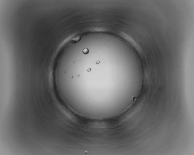 X0000113750535200910071108