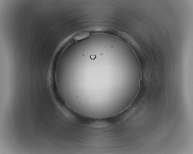 X0000113750536200910071108