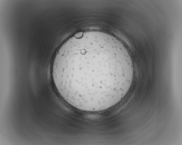 X0000113750537200910071108