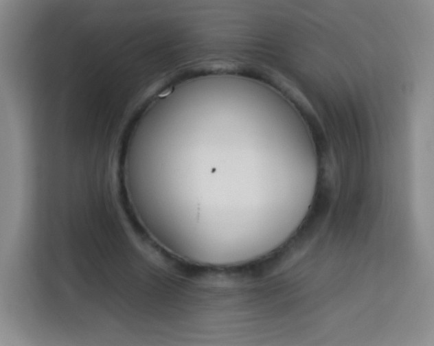 X0000113750538200910071108