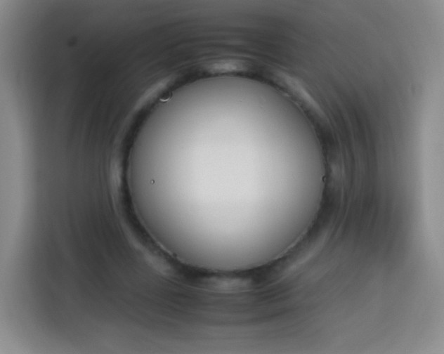 X0000113750539200910071108