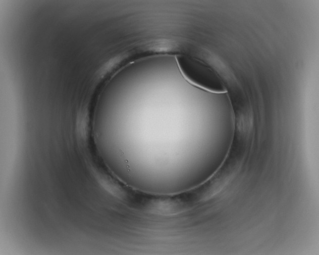 X0000113750540200910071108