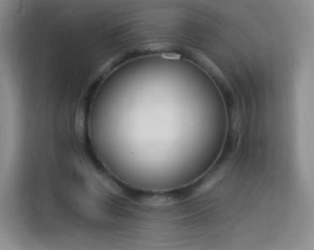 X0000113750542200910071108