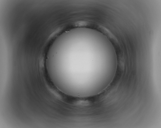 X0000113750543200910071108