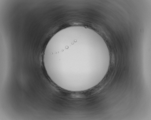 X0000113750545200910071108