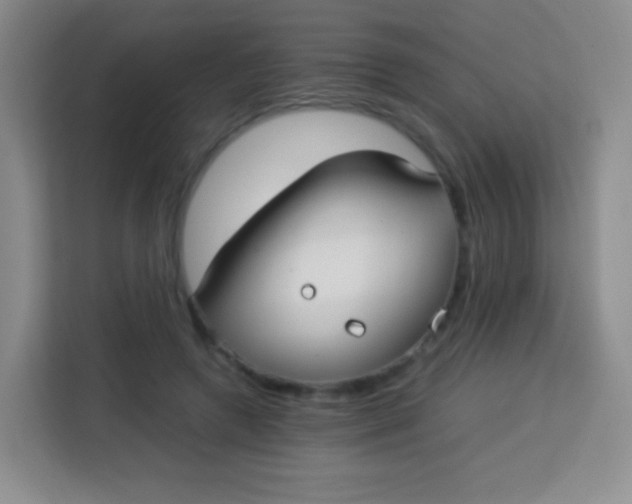 X0000113750546200910071108