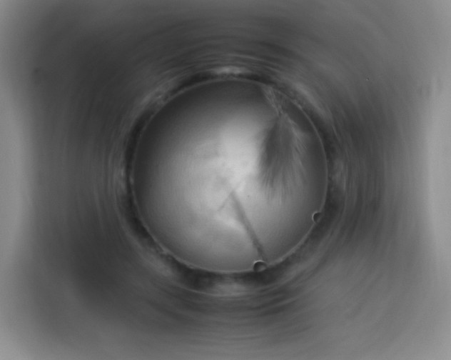 X0000113750547200910071108