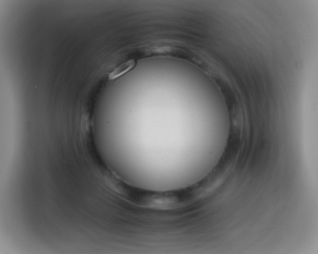 X0000113750555200910071108