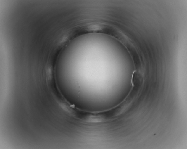 X0000113750556200910071108