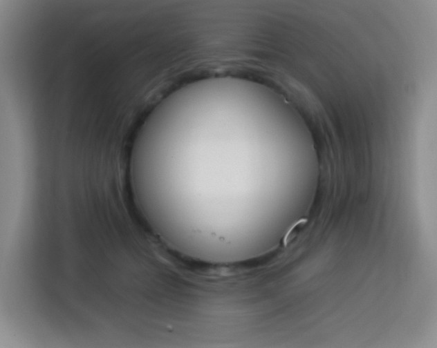 X0000113750558200910071108