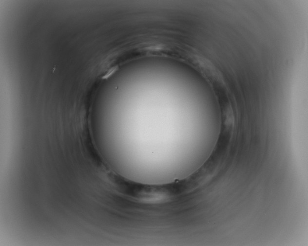 X0000113750559200910071108