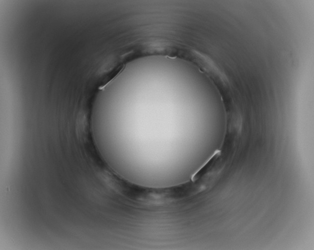 X0000113750560200910071108