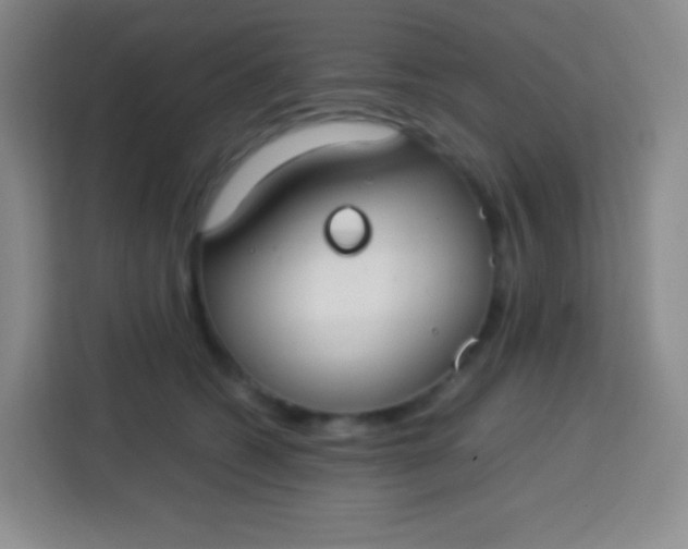 X0000113750562200910071108