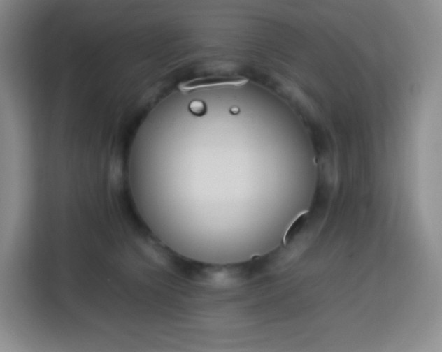 X0000113750564200910071108